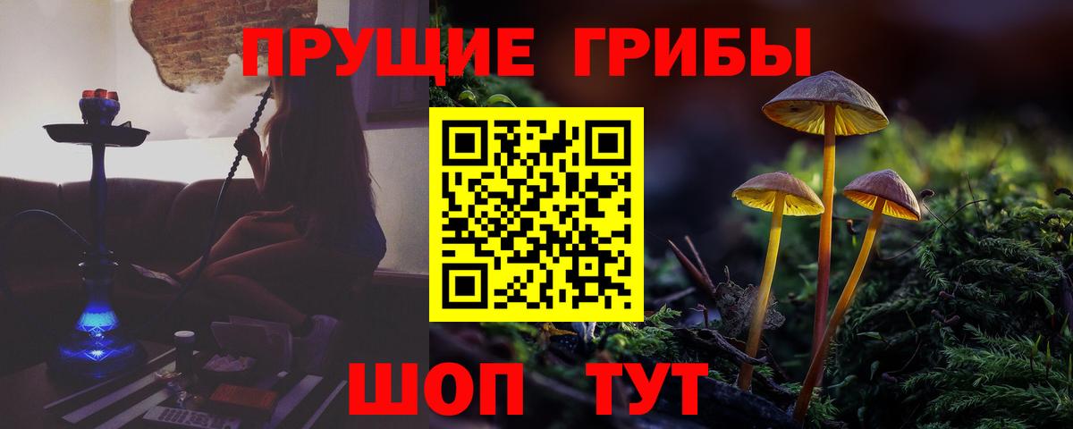 Галлюциногенные грибы мицелий Пушкино
